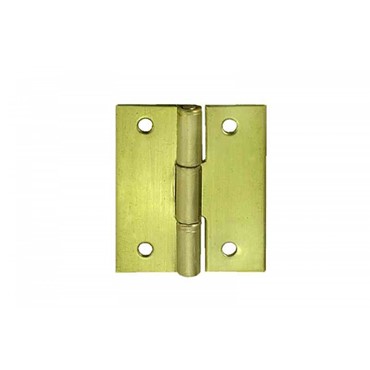 Prachi International Product Small Cabinet Hinge (With Brass Pin)